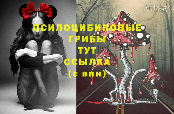 эйфоретик Шадринск