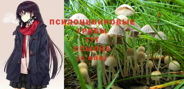 гашиш Шали