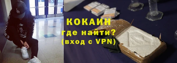 гидра Шарыпово