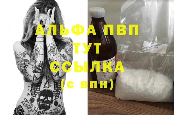 гидра Шарыпово