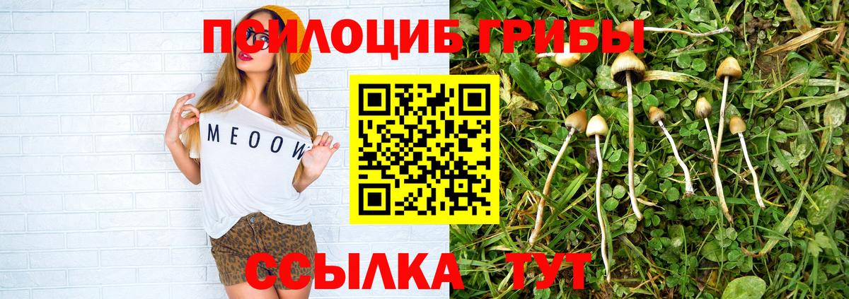 купить наркотик  Галлюциногенные грибы Psilocybine cubensis  Вход с VPN  Калининград  Галлюциногенные грибы прущие грибы 